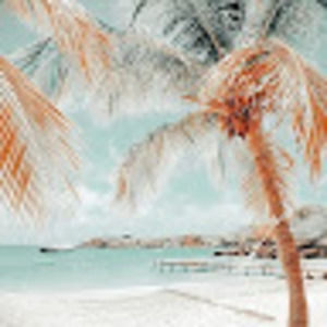 Meet your Posher, Liza